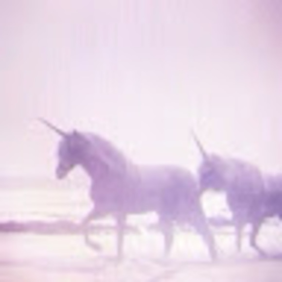 frailunicorn222